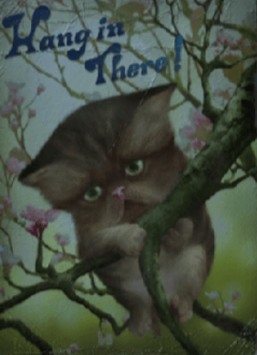 service-charge-manager